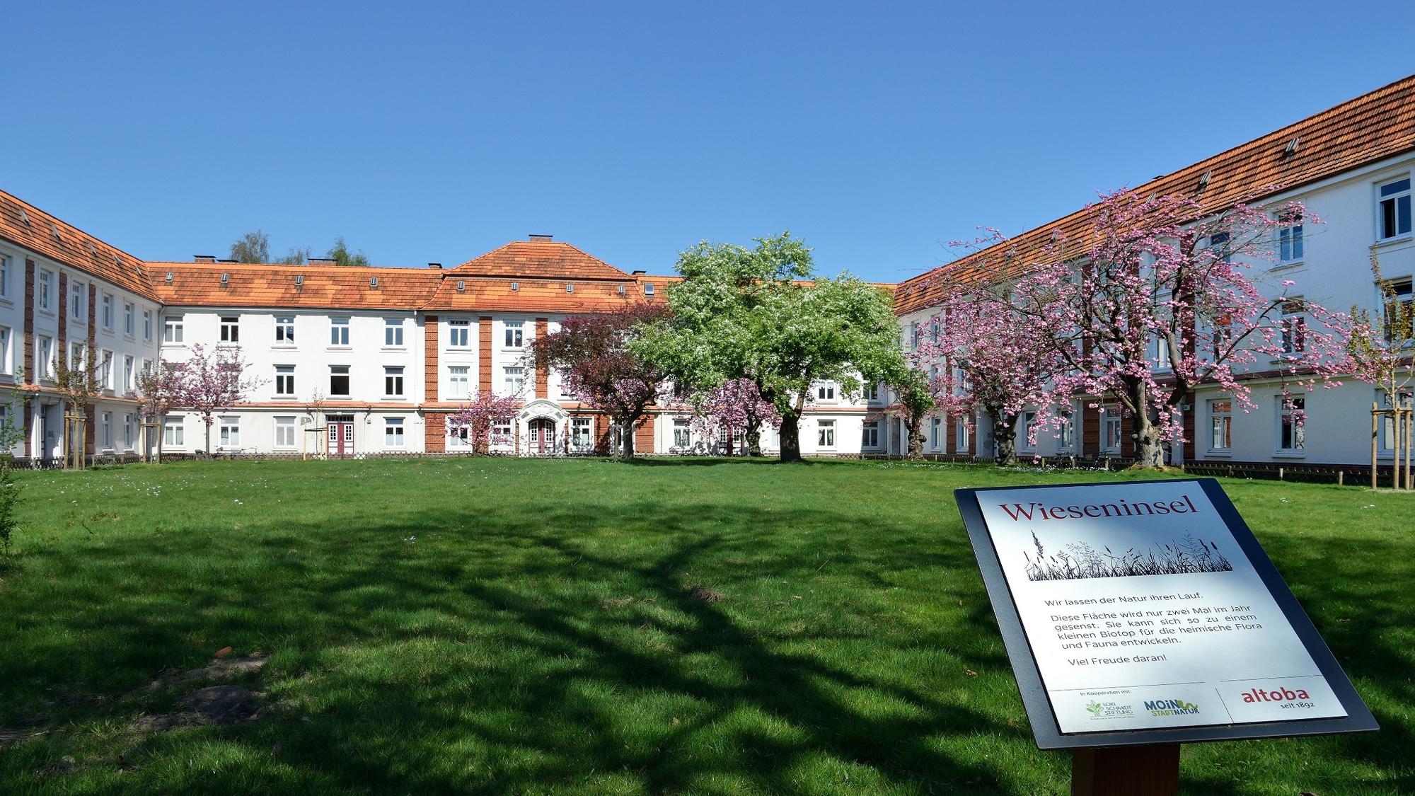 Innenhof einer dreigeschossigen Wohnanlage mit weißer Fassade und roten Dächern; auf der begrünten Rasenfläche blühen mehrere Zierkirschen und Laubbäume, im Vordergrund steht ein Schild mit dem Titel „Wieseninsel“, das über eine naturnahe Pflege der Fläche informiert.
