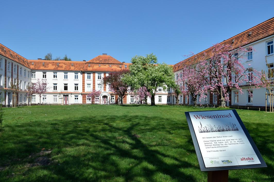 Innenhof einer dreigeschossigen Wohnanlage mit weißer Fassade und roten Dächern; auf der begrünten Rasenfläche blühen mehrere Zierkirschen und Laubbäume, im Vordergrund steht ein Schild mit dem Titel „Wieseninsel“, das über eine naturnahe Pflege der Fläche informiert.